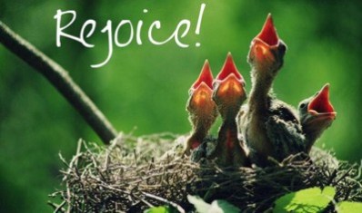 Gaudete_Sunday_Rejoice