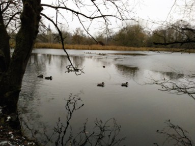 IMG_20181216_161532_159