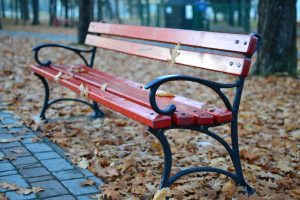 autumn-bench-dry-leaves-95684