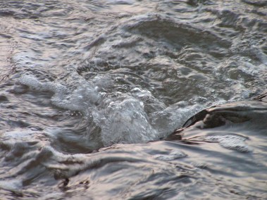 KONICA MINOLTA DIGITAL CAMERA