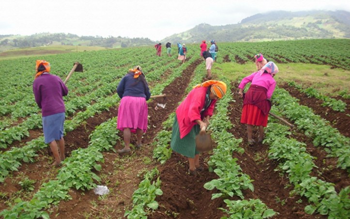 mujeres-f1-01-10-15-1440x900_c-1030x644