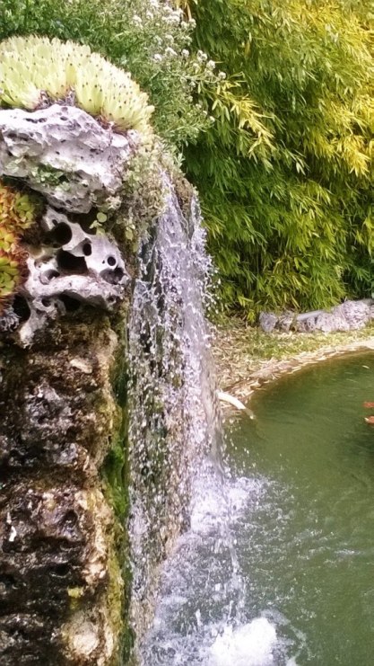 wp_20160604_13_27_30_pro