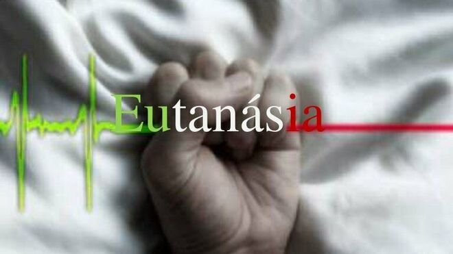 eutanasia_2031706882_12085546_660x371