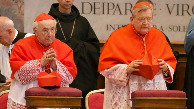 cardenales-brandmuller-burke_2156194419_13890232_660x371