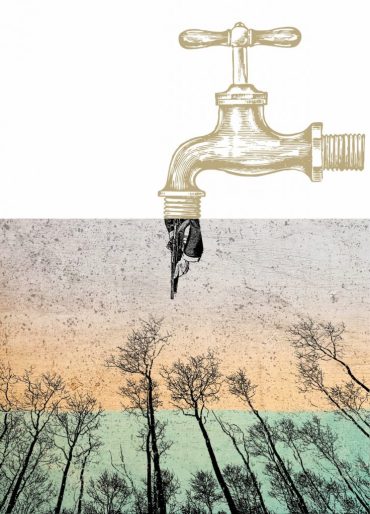 colalb-octubre-4-736x1024-1