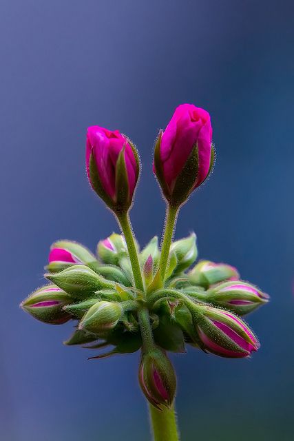 f97bfe0df517afa275318668c8baec92