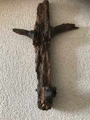 wp-15865422592821302999891